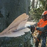 Tronçonneuse thermique STIHL MS 661 C-M W 63cm – Image 6