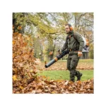 Souffleur à dos BR800 C-E STIHL – Image 2