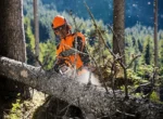 Tronçonneuse thermique STIHL MS 261 C-M – Image 2