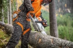 Tronçonneuse thermique STIHL MS 261 C-M – Image 3