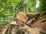Tronçonneuse thermique STIHL MS 881 – Image 5