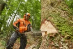 Tronçonneuse thermique STIHL MS 881 – Image 3