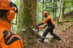 Tronçonneuse thermique STIHL MS 881 – Image 6