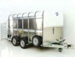 Remorque à bétail Ifor Williams TA5 HD 12×6 156×372 cm Hauteur : 183 cm – 3,5 t Véhicule neuf – Image 12